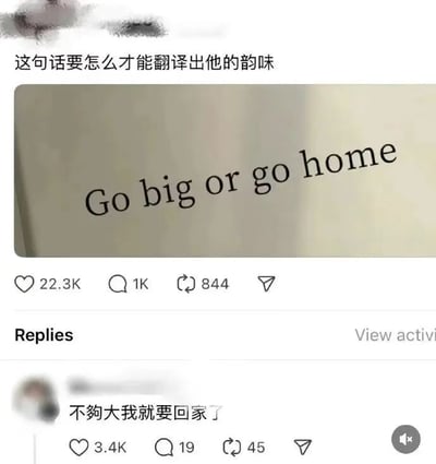 这是一张社交媒体截图梗图，上方文字提问“这句话要怎么才能翻译出他的韵味”，中间是一张写有英文短语“Go big or go home”的实物照片，下方展示了热门评论“不够大我就要回家了”。评论通过对“big”一词的字面化、幽默化解读，将原句的“要么做大要么回家”调侃为“不够大就回家”，形成了风趣的翻译梗效果，引发网友互动。
