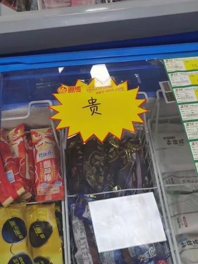 超市冰柜内部特写，展示了多种品牌冰淇淋产品。最显眼的是中央位置一个黄色星形标签，上面用黑色大字写着'贵'字，直接点明了价格主题。冰柜左侧有红色包装的'醒狮棒'冰淇淋，中间是深色包装的海河品牌产品，右侧可见雀巢品牌的雪糕。右上角的价格标签显示部分产品售价已达13元，反映了当前冰淇淋价格上涨的现象。这种直白的价格标注方式带有幽默调侃的意味，暗指近年来被网友称为'雪糕刺客'的高价冰淇淋现象。