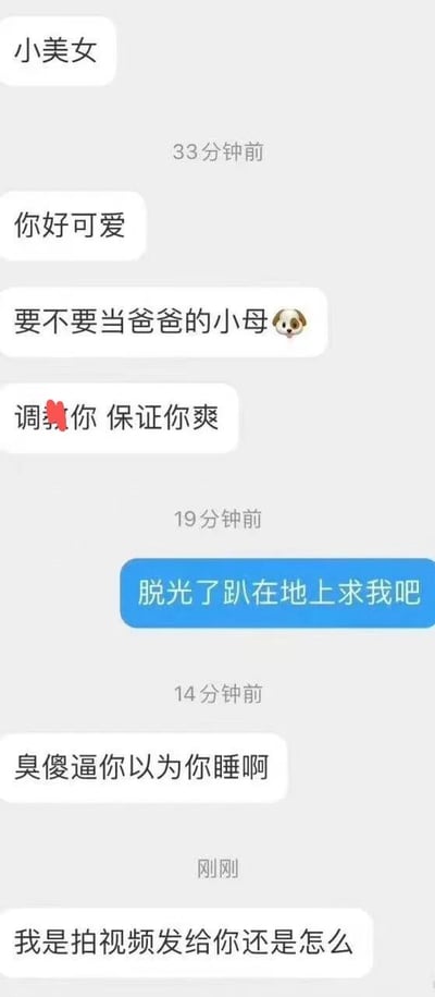 这是一张聊天记录截图，显示了一方对名为'小美女'的聊天对象发送包含性骚扰、侮辱性语言和低俗内容的消息。内容包含明显的冒犯性和不适当言论，违反社交礼仪和道德规范。