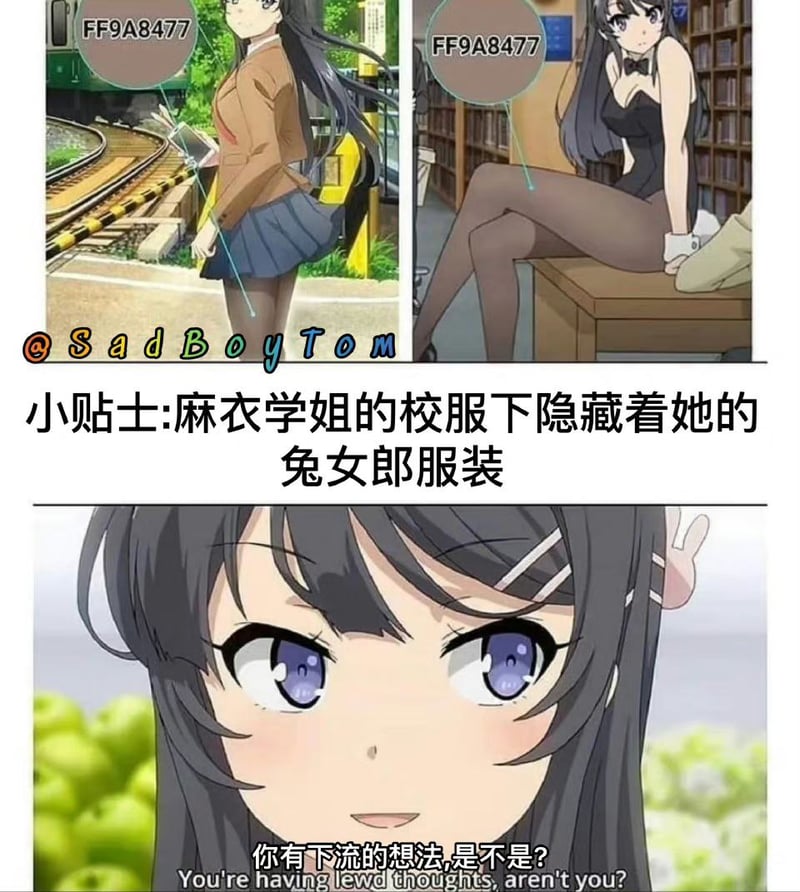 麻衣学姐
