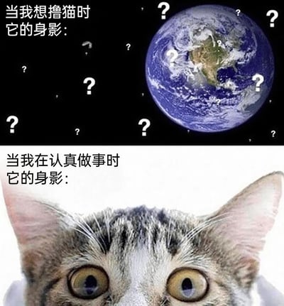 这是一张上下对比式的趣味梗图，精准还原了养猫人群的真实日常：上半部分配文“当我想撸猫时它的身影：”，搭配布满问号的地球画面，生动表现出主人想要撸猫时，猫咪却彻底消失不见、仿佛藏在地球某个角落的状态；下半部分配文“当我在认真做事时它的身影：”，用一张狸花猫凑到镜头前的大脸特写，展现出此时猫咪会立刻出现在主人眼前、打扰主人工作的场景，用反差感调侃猫咪捉摸不定、“反向粘人”的可爱性格，引发养猫群体的强烈共鸣。