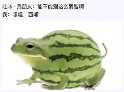图片上方是一段朋友间的对话文字："吐味：我朋友：能不能别这么弱智啊 我：嘿嘿，西呱"。下方是一只造型独特的青蛙，它的身体被设计成了西瓜的样子，有着绿色的底色和黑色的条纹，看起来既像青蛙又像西瓜。这里使用了谐音梗，"西呱"既谐音"西瓜"，又包含了青蛙的叫声"呱"。