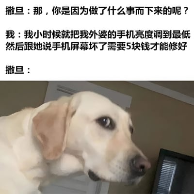 图片上半部分为文字对话，撒旦询问“我”因何来到地狱，“我”回答童年时曾将外婆手机亮度调至最低，谎称屏幕损坏并索要5元“修理费”。下半部分是一张黄色拉布拉多犬的照片，狗狗眼神迷茫、表情呆滞，暗喻撒旦听完后的震惊与无语。