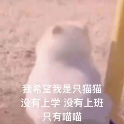 暂无描述