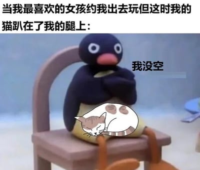图片上方文字描述场景：'当我最喜欢的女孩约我出去玩但这时我的猫趴在了我的腿上：'，下方是一只黑色企鹅造型的卡通角色坐在椅子上，双腿交叉，怀里抱着一只蜷缩的三花猫咪，角色旁边配有文字'我没空'。整体通过幽默方式展现宠物主人在社交邀约和陪伴宠物之间选择后者的日常场景，突出'宠物优先'的搞笑矛盾心理。