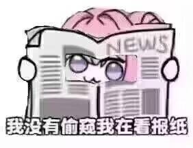 Doro偷看报纸表情包：我没有偷窥我在看报纸