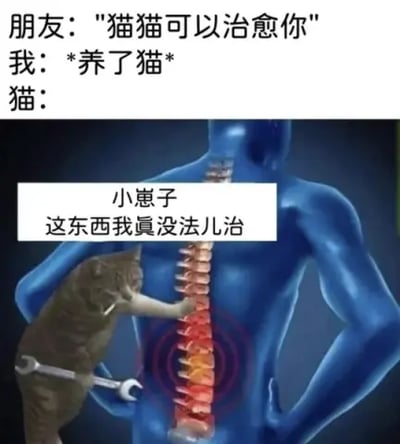 这是一张搞笑的合成梗图，上方是三段文字对话：朋友说“猫猫可以治愈你”，“我”以“*养了猫*”回应，下方的合成图里，一只拿着扳手的猫咪对着蓝色人体模型的腰椎部位，配文“小崽子 这东西我真没法治儿”。图中玩了“治愈”的双关梗，原本指猫咪治愈人的情绪，却被曲解为治疗身体疾病，猫咪面对腰椎问题表现出无能为力的状态，通过反差感制造出搞笑效果，调侃了养猫后依然被身体不适困扰的日常。