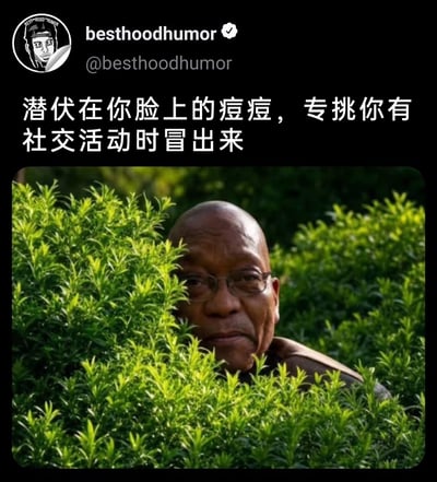 这是一张来自海外社交媒体的搞笑梗图，属于图文混排的静态单图内容。画面上方配有中文文案“潜伏在你脸上的痘痘，专挑你有社交活动时冒出来”，下方是南非前总统雅各布·祖马躲在茂密绿色灌木丛中的照片，他仅露出头部，表情严肃，仿佛在暗中潜伏观察。这张图用“潜伏”的画面精准比喻平时藏在皮肤里的痘痘，总是在人们有社交活动的关键时候突然冒出来，以幽默的方式调侃了很多人都经历过的这种尴尬又无奈的日常小烦恼，引发共鸣。