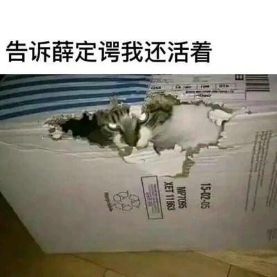 这是一张文字加注的静态梗图，上方配有黑色文字“告诉薛定谔我还活着”，下方是一只真实的猫咪从带有物流标识的纸箱破洞处探出头，猫咪的身体部分还在纸箱里。这张图以趣味化的方式调侃了著名的物理学思想实验“薛定谔的猫”，在该实验中，未被观测的猫处于既死又活的叠加态，而图中的猫咪钻出来证明自己存活，打破了这种叠加态的设定，用轻松搞笑的形式呈现这个经典物理概念。