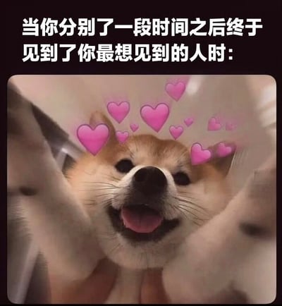 图片上方有白色文字“当你分别了一段时间之后终于见到了你最想见到的人时:”，下方是一只被捧着脸的柴犬，它嘴巴张开，露出舌头，眼睛睁大，表情十分开心，头部周围环绕着多个粉色爱心特效，整体营造出久别重逢时极度喜悦和激动的氛围。