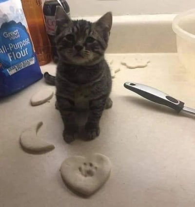 一只灰色虎斑小奶猫坐在厨房台面上，周围散落着被捏成月牙形和心形的面团，其中一个心形面团上还印着清晰的小猫爪印。小猫身旁放着一袋'Great Value'通用面粉和一把不锈钢刀具，眼神无辜地向上看，仿佛在假装与面团被'蹂躏'的现场无关。画面充满生活气息和萌点，让人忍俊不禁。