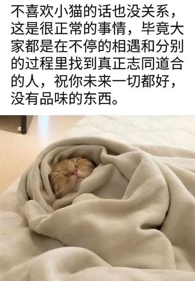 图片上半部分是一段文字：'不喜欢小猫的话也没关系，这是很正常的事情，毕竟大家都是在不停的相遇和分别的过程里找到真正志同道合的人，祝你未来一切都好，没有品味的东西。'，下半部分是一只被毯子包裹着睡觉的橘猫。这是一个幽默梗图，前半段看似礼貌祝福，最后一句'没有品味的东西'形成反差萌的调侃。