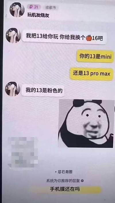 这是一段充满无厘头笑点的聊天记录截图：用户「玩机发烧友」提出用自己的粉色iPhone13换对方的iPhone16，对方询问是iPhone13 mini还是Pro Max，而「玩机发烧友」只强调自己的手机是粉色的，对方随后发了一个一脸无奈的熊猫头表情包，最后更是跑偏问出「手机膜还在吗」，整个对话逻辑错位，充满搞笑感。