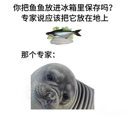 图片分为三部分：顶部文字提问“你把鱼鱼放进冰箱里保存吗?”，接着陈述“专家说应该把它放在地上”；中间是一张鱼被放置在生菜上的小图；底部文字“那个专家:”下方是一张海豹的面部特写，海豹有着大大的眼睛和呆萌的表情。该梗图通过文字与图像的结合制造幽默效果，“把鱼放在地上”的“专家建议”实际上指向了以地面/冰面为栖息地的海豹，形成常识与荒诞“专家建议”的有趣反差。