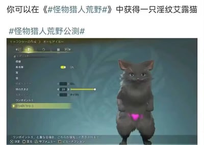这是一张《怪物猎人：荒野》公测期间的玩家整活截图，展示了游戏内艾露猫的自定义捏脸界面。玩家将艾露猫设置为黑色长毛品种，通过自定义装饰在其腹部下方添加了一个粉色爱心图案，结合谐音梗将其命名为「淫纹艾露猫」，「淫纹」是「银纹」的谐音，利用图案位置制造低俗趣味的玩梗效果，在游戏相关社群引发趣味讨论。