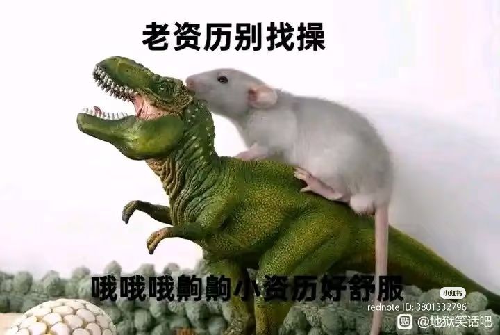 老资历