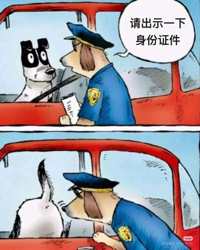 这是一幅两格连环卡通漫画，第一格中，身着警服的狗警官站在红色汽车旁，向坐在驾驶座的狗狗严肃要求“请出示一下身份证件”，驾驶座的狗狗露出惊讶的表情；第二格中，驾驶座的狗狗转过身，将自己的屁股朝向狗警官，利用狗类依靠闻屁股气味来识别身份的习性，制造出搞笑的误会，以另类方式完成“出示身份证件”的要求，巧妙结合动物习性，充满趣味。