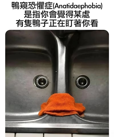 图片上方有文字解释'鸭窥恐惧症(Anatidaephobia)是指你会觉得某处有只鸭子正在盯着你看'，下方是一张双槽不锈钢水槽的照片，中间折叠的橙色毛巾恰好形成了一个类似鸭子脸的形状，两个排水口看起来像鸭子的眼睛，制造出被鸭子注视的错觉，属于利用日常物品进行视觉幽默的梗图。