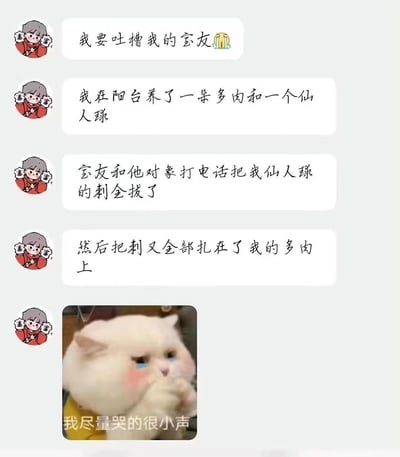 这是一张聊天记录截图，发布者首先说明要吐槽自己的室友，提到自己在阳台养了多肉和仙人球两种植物，随后讲述离谱事件：室友和对象打电话时闲来无事，将自己养的仙人球的刺全部拔掉，还把拔下来的刺全都扎到了自己养的多肉植株上，最后发布者配了一张眼含泪水、捂着嘴的猫咪表情包，配文“我尽量哭的很小声”，生动展现出自己无奈、委屈又觉得好笑的心情。
