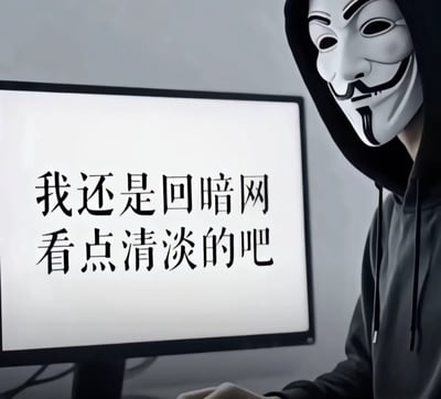 图片中，一名戴着V字仇杀队标志性白色面具、身穿连帽衫的人正坐在电脑前，电脑屏幕上显示着黑色文字：'我还是回暗网看点清淡的吧'。通过将通常与隐秘、危险相关的暗网与'清淡'一词结合，形成强烈反差，营造出讽刺幽默的效果，暗示当前某些公开网络内容可能比暗网更混乱或刺激。