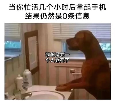 这张梗图上方配有文字'当你忙活几个小时后拿起手机结果仍然是0条信息'，下方是一只棕色的狗站立在浴室洗手台边，前爪搭在台面上，扭头望向窗外，眼神中透露出忧郁和落寞。图片中还给狗配上了内心独白：'我怕是要一个人老死了'。通过将人的孤独情绪投射到狗的表情和动作上，幽默地表达了现代人期待社交互动却无人联系的失落感和自嘲心理。