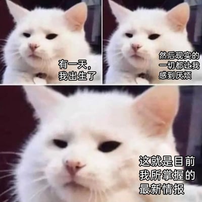 这是一张由三张实拍白猫照片拼接而成的连环梗图，采用递进式的叙事结构：第一张图中白猫表情平淡，配文“有一天，我出生了”开启叙事；第二张图白猫神态略显厌烦，配文“然后现实的一切都让我感到厌烦”表达对生活的倦怠；第三张图白猫凑近镜头，丧感拉满，配文“这就是目前我所掌握的最新情报”收尾，以拟人化的方式调侃了当代人对日常提不起劲、被生活消磨热情的丧系心态，搞笑又精准地戳中了很多人的情绪共鸣点。
