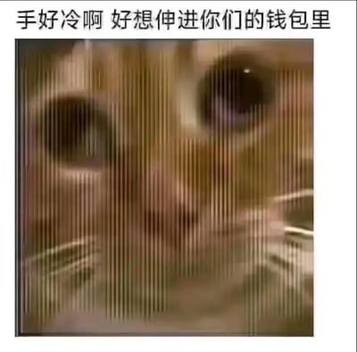 这是一张图文结合的正方形静态表情包，上方配有文字“手好冷啊 好想伸进你们的钱包里”，下方是一只被竖线效果模糊处理的猫咪，猫咪睁着圆溜溜的大眼睛，神态看起来可怜又无辜。这句话运用了双关的手法，表面上是说手冷想要找温暖的地方，实际是在调侃想要获取他人的钱财，用可怜的猫咪表情来弱化“要钱”的直白感，让整句话显得既萌又带着点小“厚脸皮”，非常适合用来开玩笑式地向朋友撒娇要零花钱、调侃对方请客，或是在社交平台上表达自己“缺钱”的搞笑情绪。