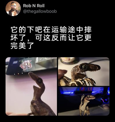 这是X（原Twitter）平台用户Rob N Roll分享的一组实拍照片，展示了一个在运输过程中下巴意外摔坏的迅猛龙玩具模型。原本完整的模型下巴损坏后，反而呈现出多种更具生动感和趣味性的姿态：左侧照片里模型抬头张嘴，仿佛在发出惊呼；右上照片中模型歪着头，神态搞怪；右下照片里模型举起前爪，摆出夸张的动作。发布者表示，这次意外的损坏反而让这个模型变得更完美，赋予了它独特的灵魂，比原本的样子更有灵气，这种“意外之美”也让这个普通的玩具模型变得更有特色。