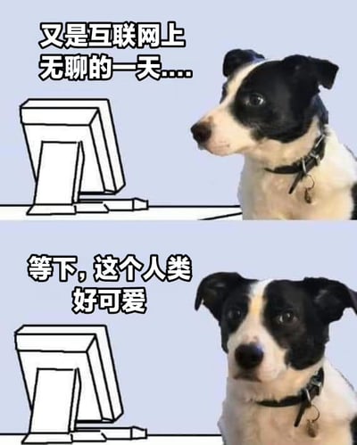 这是一张上下两帧的对比式梗图。上半帧中，一只黑白相间的狗狗侧头看着电脑显示器，配文“又是互联网上无聊的一天....”，表情显得漫不经心；下半帧中，狗狗转头直视前方，眼神变得惊讶好奇，配文“等下，这个人类好可爱”，形成从无聊到突然感兴趣的有趣反差。整体通过拟人化手法，幽默展现了上网时从倦怠到发现惊喜的瞬间。