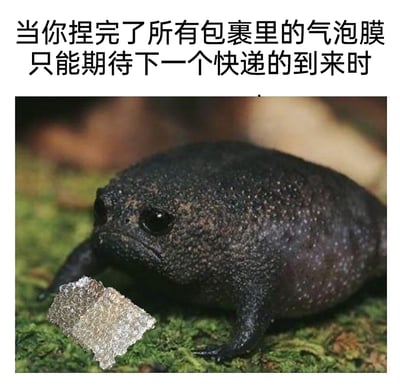 这是一张网友二次创作的趣味梗图，上方配有文字“当你捏完了所有包裹里的气泡膜只能期待下一个快递的到来时”，图中主体是一只神态沮丧的非洲黑雨蛙，它趴在覆盖着苔藓的地面上，面前摆放着一小块已经被捏扁的气泡膜。这张图通过将黑雨蛙自带落寞感的神态，与人们捏完气泡膜后失去解压乐趣、空虚等待下一个快递的情绪相结合，生动又幽默地共情了日常生活中这种微小的无聊与无奈，用可爱的动物形象放大了这种解压后的空虚感，十分贴合大众的日常小体验。