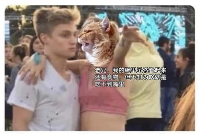 这是一张经过P图改编的搞笑合成静态图，画面背景是人群聚集的户外场景，看起来像是一场聚会活动。前景里，一位穿着白色带黑点上衣的男生被旁边的人搂着肩膀，他表情略显无奈，眼神看向一侧；而搂着他的人穿着粉色短款上衣，身体是人类的身体，但头部被替换成了一只表情烦躁、嘴巴微张的橘猫的脸，这只“橘猫脸人”一只手搭在男生肩膀上，另一只手抬起指向别处。图片右侧配有拟人化的吐槽文字，以橘猫的口吻说道：“老兄，我的碗里虽然看起来还有食物，但不知为啥就是吃不到嘴里”，通过将动物头部与人类身体合成的视觉错位效果，搭配贴合生活中无奈场景的吐槽，制造出荒诞又搞笑的氛围，用来调侃那种看似拥有机会但实际无法达成目标的窘境。