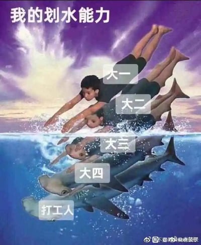 暂无描述