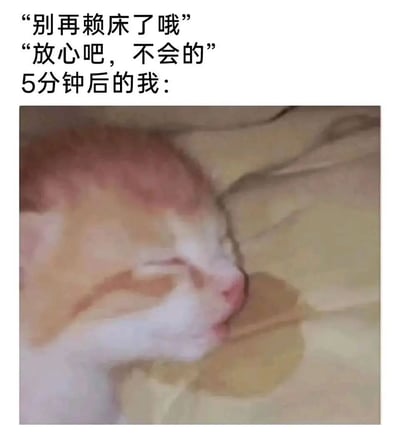 这是一张充满共鸣感的搞笑图文梗图，上方文字构建了一个日常赖床的场景对话：先是来自他人或自我内心的提醒“别再赖床了哦”，自己则信誓旦旦地回应“放心吧，不会的”，随后用“5分钟后的我：”引出下方的配图——一只橘白相间的小猫双眼紧闭，侧躺在床上睡得十分沉熟，脸边的床品上还有一块水渍，生动又夸张地展现了嘴上刚承诺不赖床，转眼就彻底陷入深度睡眠、完全“真香”的真实状态，精准戳中了很多人在赖床时的矛盾与真实表现，充满了生活化的搞笑趣味。