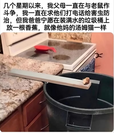 这张图片展示了一个搞笑的家庭场景，图中是一个DIY捕鼠陷阱：一根木板从厨房台面延伸到装满水的垃圾桶上方，末端放着一根香蕉作为诱饵。图片上方配有文字说明，讲述爸爸拒绝专业除虫服务，反而制作了这个类似《猫和老鼠》中汤姆猫会设计的滑稽陷阱。