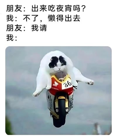 这张梗图通过对话和图片对比，幽默地展示了人们在面对朋友请客时的态度转变。上方文字显示朋友邀请吃夜宵时，"我"一开始以"懒得出去"拒绝，但当朋友提出"我请"后，下方图片展示了一只猫骑着摩托车腾空而起的夸张画面，暗示此时的"我"变得非常积极主动，迫不及待要去吃夜宵。