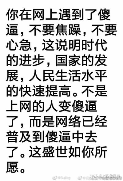 这是一张竖版纯文字静态图，内容是一段带有调侃和反讽意味的网络段子。段子以“在网上遇到不认同的人”为切入点，用看似正向的表述“时代进步、国家发展、人民生活水平提高”来铺垫，最后转折到“网络普及到更多不同的人群中”，并用“这盛世如你所愿”收尾，以荒诞的逻辑消解人们在网络社交中遇到观点不合者时的烦躁情绪，风格幽默搞笑，适合在社交平台分享来抒发网络社交中的小情绪。