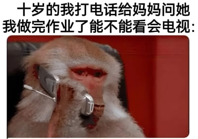 图片上方有黑色文字：“十岁的我打电话给妈妈问她我做完作业了能不能看会电视：”，下方是一只狒狒手持老式手机贴在耳边通话的照片。狒狒表情严肃，眼神专注，与文字中孩童天真的请求形成幽默对比，通过动物拟人化手法展现童年向家长请求看电视的经典场景，引发怀旧共鸣。