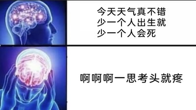 这是一张由上下两部分拼接而成的图文梗图：上半部分展示了一个头部侧面轮廓，大脑区域呈现出正常运作的光亮状态，旁边配文“今天天气真不错 少一个人出生就少一个人会死”，前半句是日常闲聊内容，后半句是一句看似逻辑通顺但毫无实际价值的废话；下半部分是一个双手抱头的人体轮廓，大脑区域泛红高亮，呈现出过载疼痛的状态，配文“啊啊啊一思考头就疼”，用夸张的视觉画面和文字，生动表现出试图去思考这类无意义逻辑时，大脑因无价值思考而陷入痛苦、过载的状态，调侃了面对无意义问题时的精神内耗与烦躁情绪。