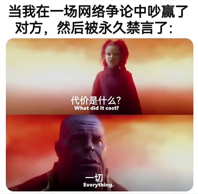 这是一张幽默讽刺网络现象的梗图。上方文字描述场景："当我在一场网络争论中吵赢了对方，然后被永久禁言了："，下方分上下两格使用《复仇者联盟》电影截图。上格红头发角色问"代价是什么?"，下格灭霸严肃回答"一切"，形成强烈反差笑点，生动展现了网络争论中"赢了辩论却失去账号"的荒诞结局。