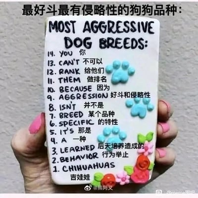 这是一张展示手写装饰牌的静态图片，牌面顶部用中英文标注主题“最好斗最有侵略性的狗狗品种”。牌面文字以倒序14到1的方式排列，前13条内容连贯起来传递了核心观点：“你不可以给他们做排名，因为好斗和侵略性并不是某个品种的特性，那是一种后天培养造成的行为举止”，明确表达狗狗的攻击性与品种无关，是后天环境影响的结果。但在最后第1条却玩了反转梗，标注“吉娃娃”，既呼应了大众对吉娃娃爱叫、攻击性较强的刻板印象，又用这种反差感制造幽默效果，让严肃的观点以搞笑的方式呈现。牌面还装饰有蓝色爪印和彩色花朵，一只涂着粉色指甲油的手拿着这个装饰牌。
