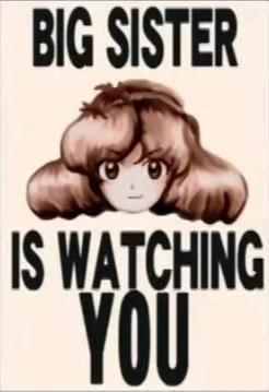 这是一张竖版图文混排的调侃梗图，上方是黑色大写英文“BIG SISTER”，中间是一位有着棕色卷发、眼神直视前方的卡通女孩，下方是黑色大写英文“IS WATCHING YOU”。该图改编自乔治·奥威尔小说《1984》中的经典标语“Big Brother is watching you”，将“Big Brother”替换为“Big Sister”，用卡通形象搭配标语，以幽默的方式调侃身边姐姐、女性长辈或强势女性的“监视”行为，充满趣味感。