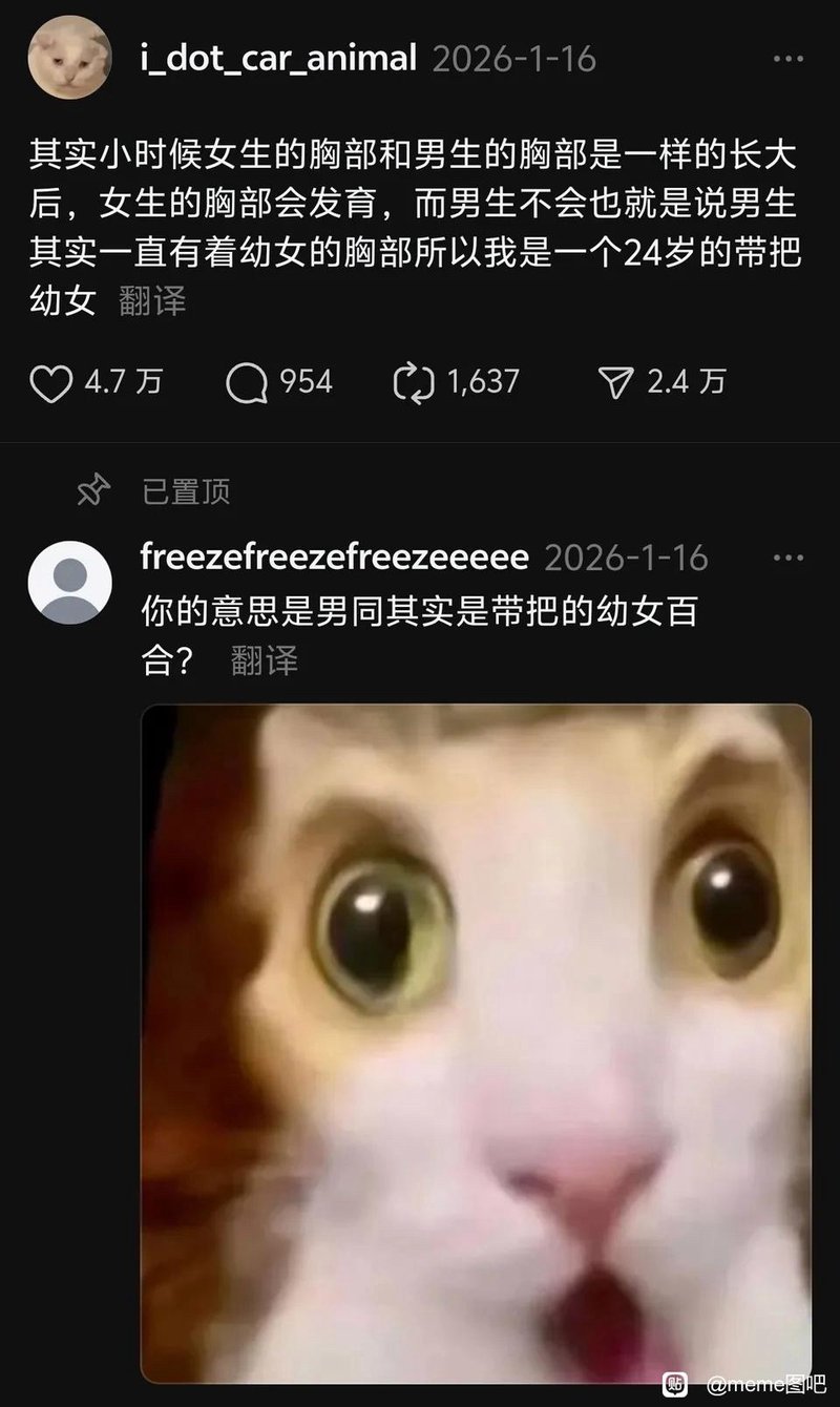 震惊猫