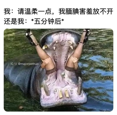 这是一张充满荒诞喜剧效果的合成梗图，通过上下文字与画面的配合，调侃人在社交场景中的状态反差。上方前半段文字“我：请温柔一点，我腼腆害羞放不开”，表现出社交初期拘谨、羞涩的状态；后半段文字“还是我：*五分钟后*”，搭配下方的合成图像——创作者将穿着高跟鞋、丝袜的人物双腿与手臂，拼接在泡在水中的河马张开的大嘴里，形成一种夸张、毫无拘束的姿态，强烈的视觉反差与文字的状态反差形成呼应，生动地表现出人在熟悉环境后彻底放开的转变，画面荒诞搞笑，极易引发共鸣。