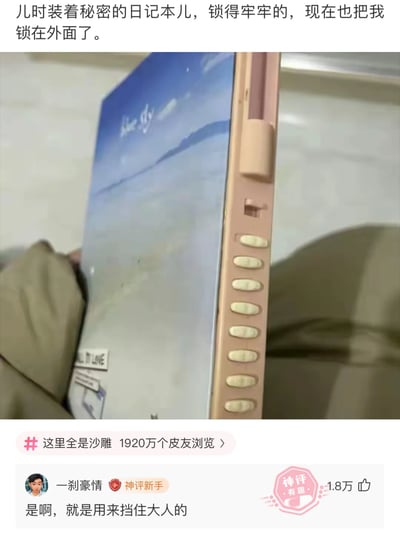 这是一张来自皮皮虾平台的社交媒体截图，上方配文感慨儿时用来珍藏秘密的带按键密码锁的日记本，如今自己忘记了密码，反而被这本本子“锁”在外面，再也无法打开那些童年秘密；图中展示了这本封面为海边风景的密码日记本，侧面的按键密码锁清晰可见；下方评论区中，用户“一刹豪情”的评论“是啊，就是用来挡住大人的”获得1.8万点赞，精准点出这类密码日记本最初的设计用途，与如今自己打不开的现状形成有趣的反差，引发网友对童年的共鸣，该内容话题标签为“这里全是沙雕”，已有1920万皮友浏览。