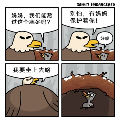 这是一幅四格连环卡通漫画，背景是飘雪的寒冬树林。第一格中，小鹰面露担忧地向鹰妈妈询问能否熬过寒冬；第二格鹰妈妈神情严肃地安慰小鹰会保护它，小鹰开心回应；第三格鹰妈妈神态平淡地表示要坐进巢穴；第四格中，鹰妈妈坐进巢穴后将小鹰压在自己身体下方，小鹰露出惊恐的表情。漫画通过鹰妈妈意想不到的“保护”方式，制造出强烈的反差感，形成了荒诞搞笑的喜剧效果。