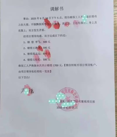 一张虚构的《调解书》截图，内容记录2025年6月24日塔吊维保工人尹辰在高空排便不慎坠落，导致李飞、王海冬、高志远、王松松四人被污物沾染引发纠纷。经调解，尹辰分别赔偿四人300元、300元、600元、500元，共计1700元，约定通过微信转账给项目领导张经理统一发放。文件下方有签名及某建筑工程有限公司紫苑项目部的红色印章，整体内容荒诞搞笑，疑似网友恶搞创作。