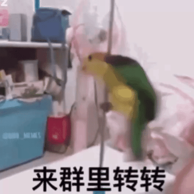 一只可爱的小仓鼠在笼子里活泼地转悠，画面中重复出现“来群里转转”的文字，营造出一种热情邀请的氛围。这是一个充满生活气息的短视频，通常用于在社交平台上邀请好友加入群聊，传递出轻松愉快的感觉。