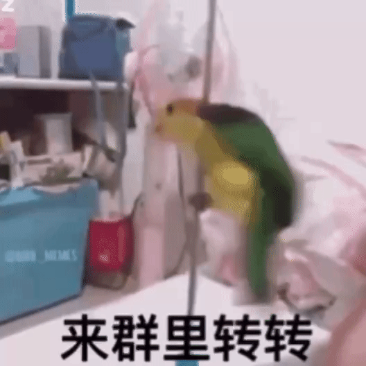 小仓鼠