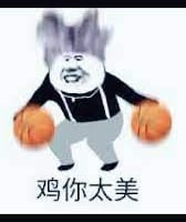 鸡你太美