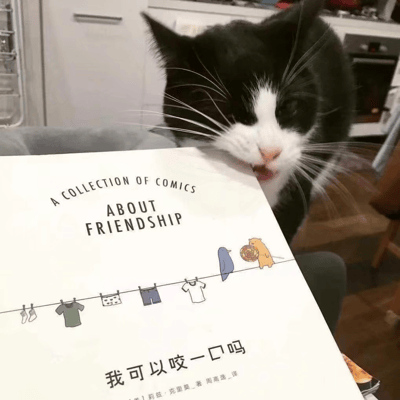 一只黑白相间的猫咪正歪着头，嘴巴微微张开，咬着一本漫画书的书角，表情看起来既好奇又带着点馋嘴。书的封面上印有英文标题“A COLLECTION OF COMICS ABOUT FRIENDSHIP”和中文译名“我可以咬一口吗”，下方还有作者信息“[美] 莉兹·克里莫 著 周高逸 译”。封面插画描绘了一只蓝色小鸟和一只拿着棒棒糖的黄色小熊站在晾衣绳上，绳子上还挂着袜子、T恤、短裤等衣物。背景是一个厨房环境，能看到白色的橱柜和烤箱，整体画面温馨又充满生活气息。